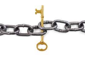 diversify links